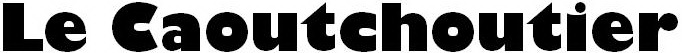 typo insole.jpg
